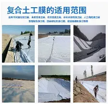 Scout大比分领先后续来了的简单介绍